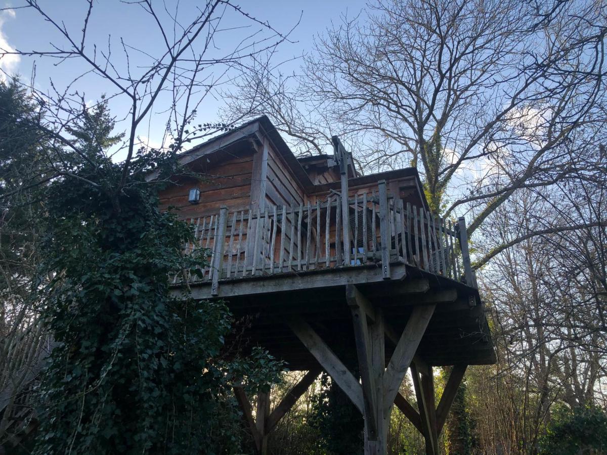 Chambres D'Hotes De La Vallee Javot Fericy Bagian luar foto